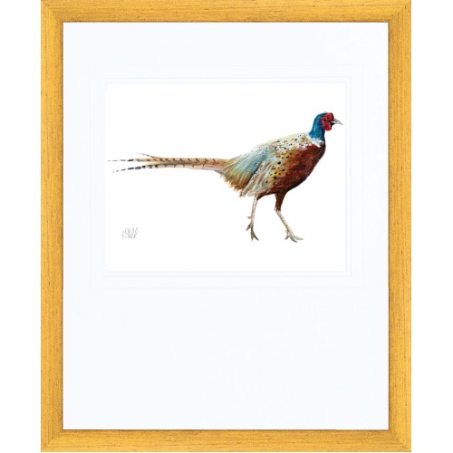 KS- PHEASANT 1